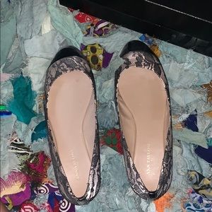 Ann Taylor shoes